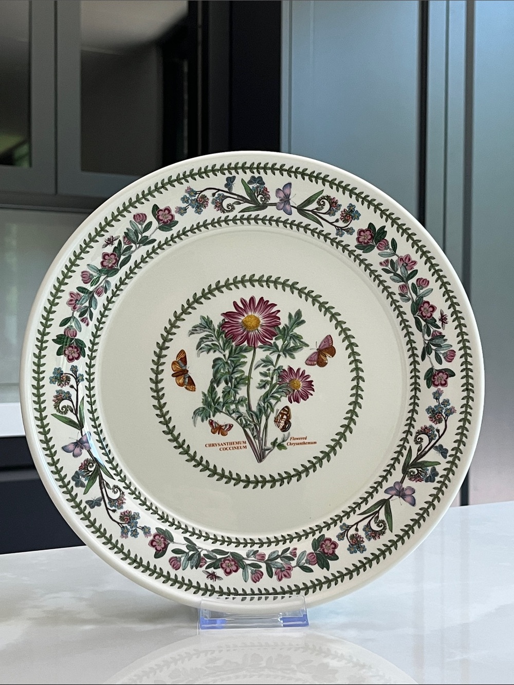 Portmeirion Dinner Plate. Botanic Variations 10.5" Chrysanthemum. Like New.